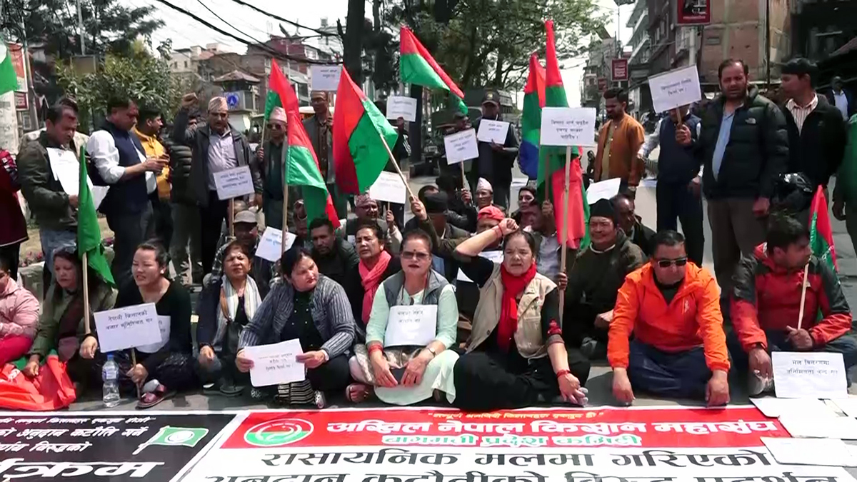 मलमा दिँदै आएको अनुदान कटौती गरेको विरोधमा प्रदर्शन